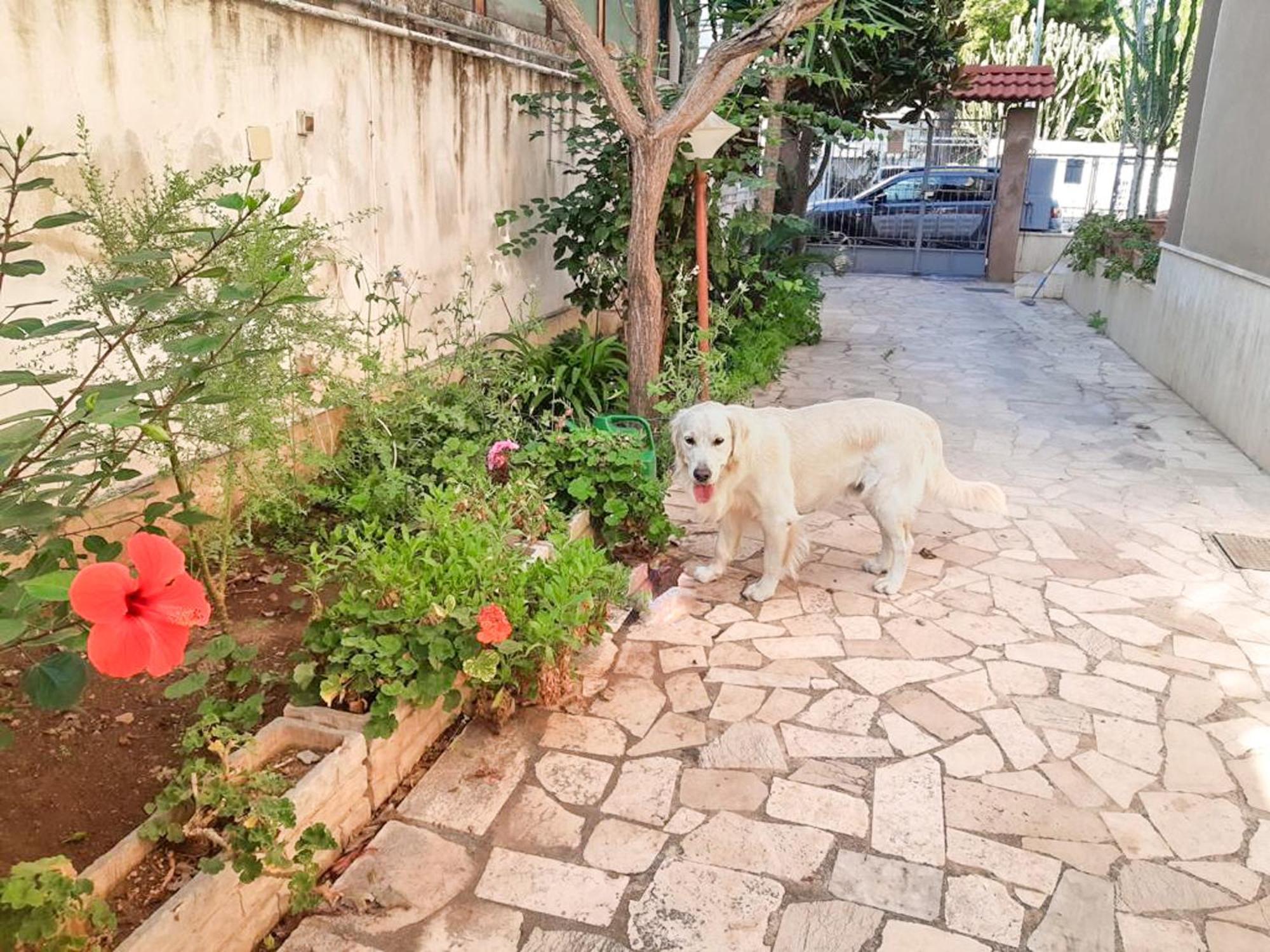 Villa Magnolia Con Giardino 바리 외부 사진