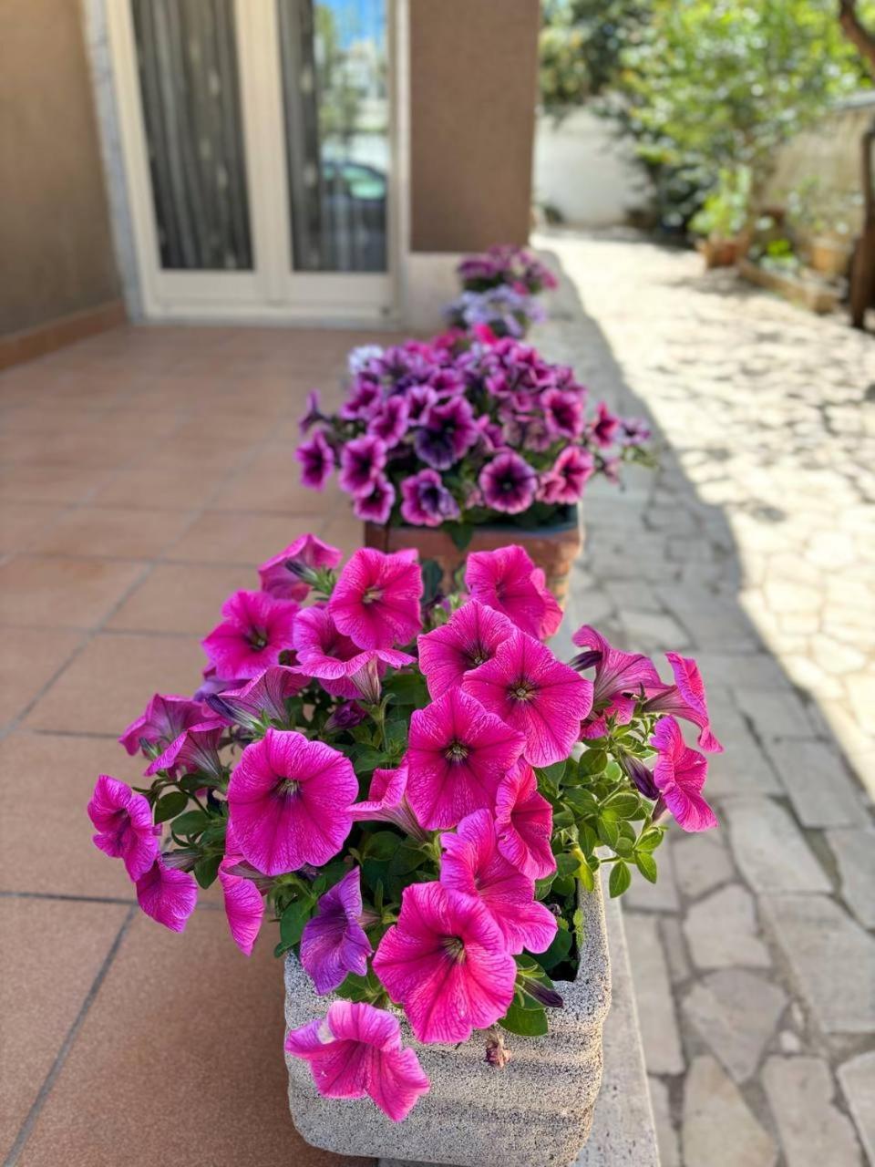 Villa Magnolia Con Giardino 바리 외부 사진